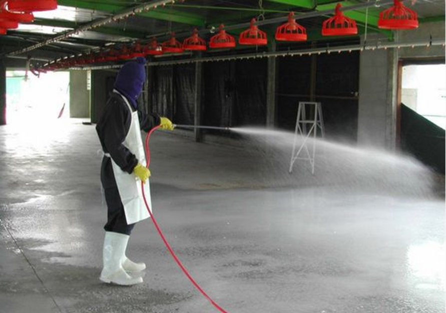 Cleaning of Animal Sheds